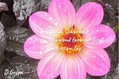 10.-September1
