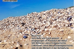 16.Juli-2020