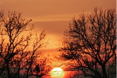 19.-November