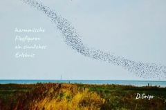 8.-Oktober1