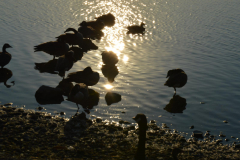 Abendstimmung