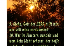 31.-März-2-1