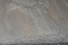 Stein1
