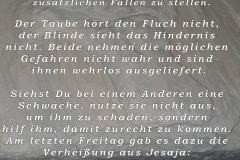 Stein2