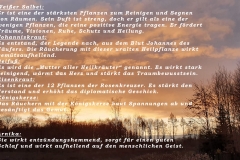 Sonnenaufgang222-scaled